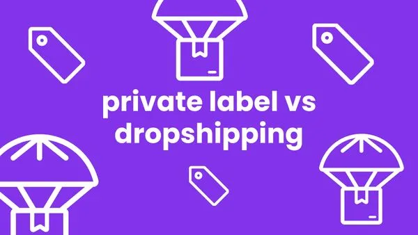 “Private Label Agents vs. Traditional Suppliers: Which Helps a New Dropshipper Scale Faster?”